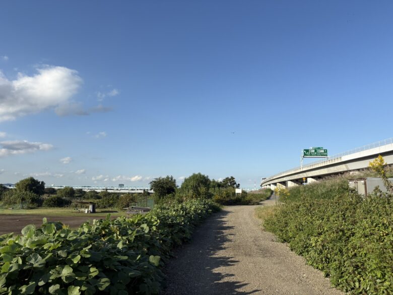 相模川
