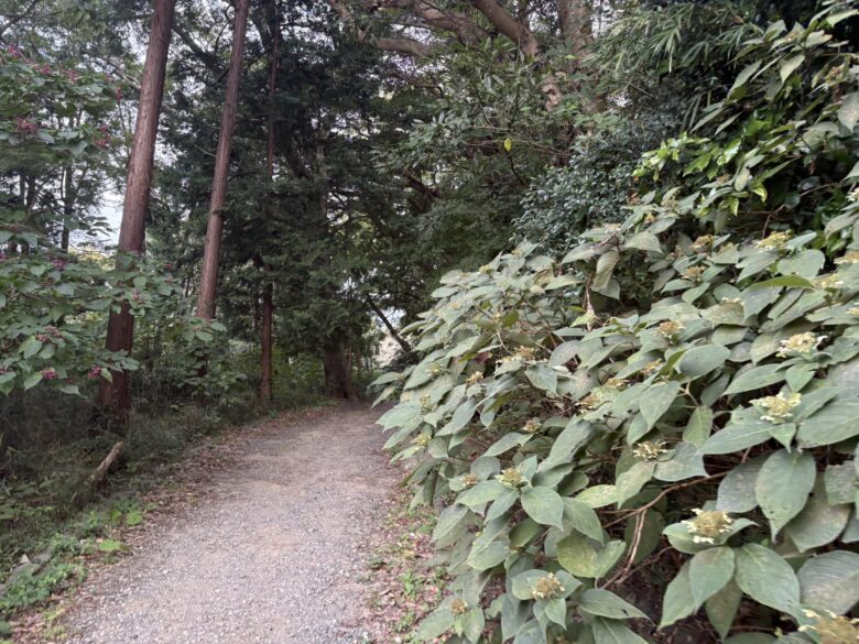 源氏山公園