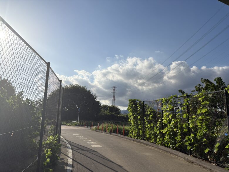 相模川
